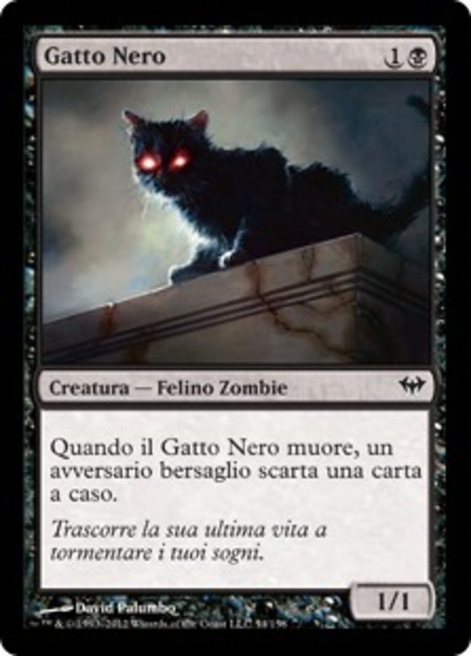 Gatto Nero image