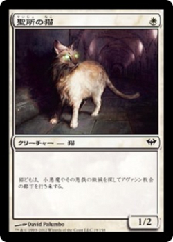 聖所の猫 image