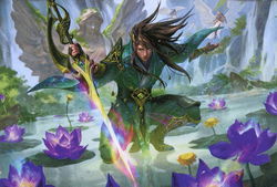 Deck representation