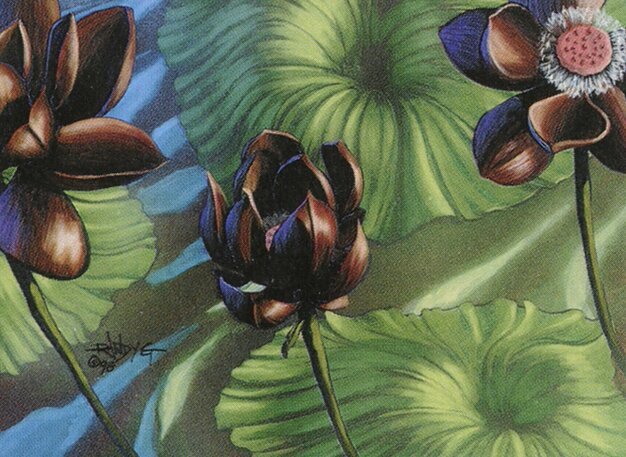 Lotus Blossom Crop image Wallpaper