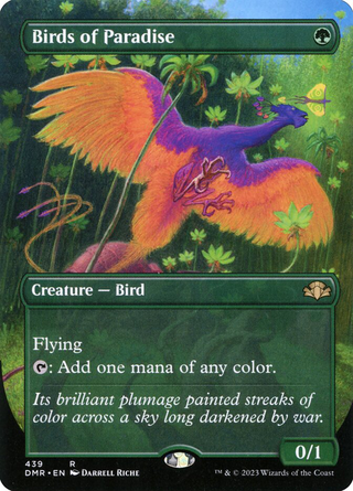 Birds of Paradise image