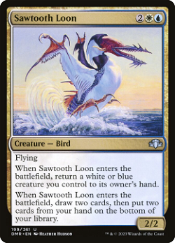 Sawtooth Loon
- Птица зубчатого клюва