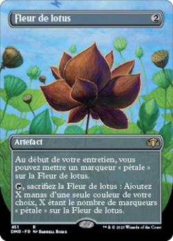 Fleur de lotus image