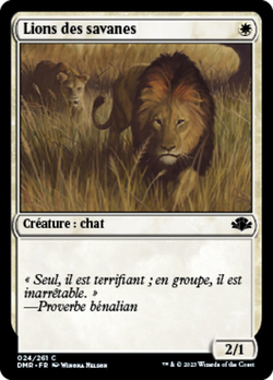 Lions des savanes