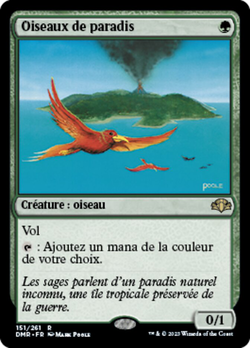 Oiseaux de paradis