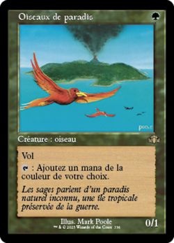 Oiseaux de paradis