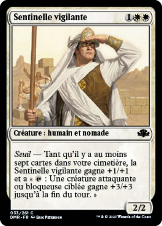 Vigilant Sentry Full hd image