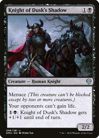 Knight of Dusk's Shadow image