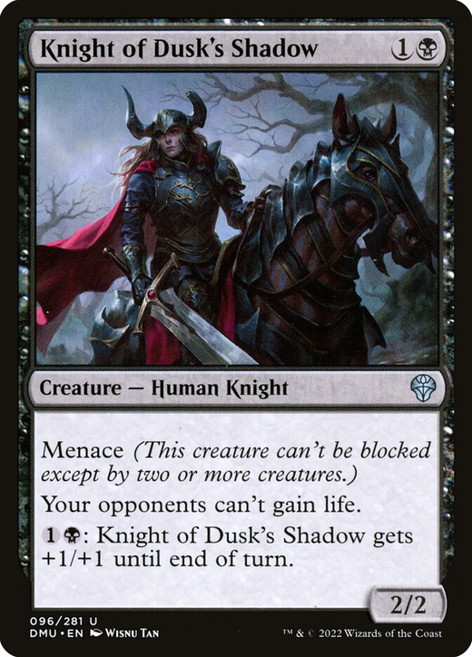 Knight of Dusk's Shadow Full hd image