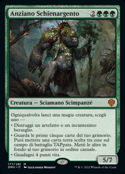 Anziano Schienargento image