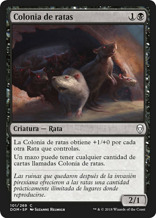 Rat Colony Full hd image