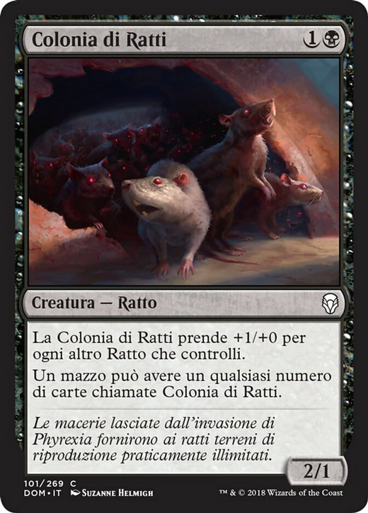 Rat Colony Full hd image