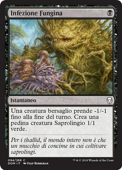 Infezione Fungina image