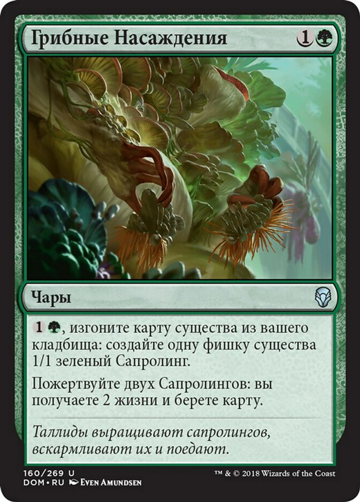 Fungal Plots Full hd image