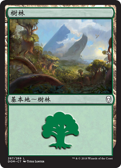 森林