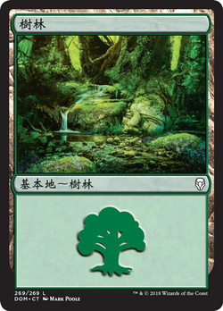 森林