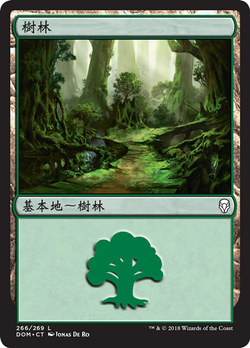 森林