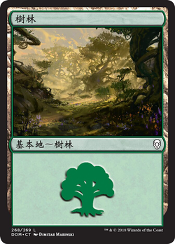 森林