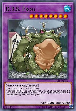 D.3.S. Frog image