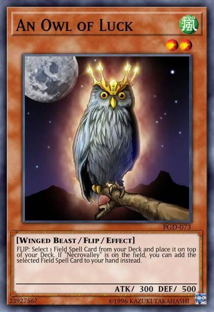 An Owl of Luck Crop image Wallpaper
