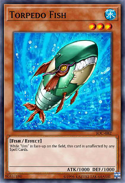 Torpedo Fish image