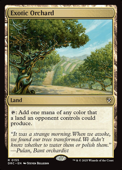 Exotic Orchard image