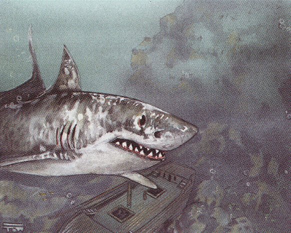 Giant Shark Crop image Wallpaper