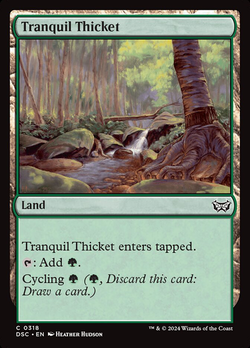 Tranquil Thicket image