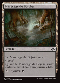 Marécage de Bojuka image