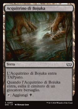 Acquitrino di Bojuka image