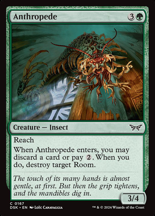 Anthropede Full hd image