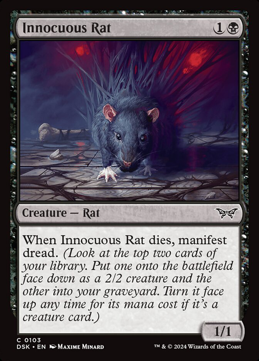 Innocuous Rat Full hd image