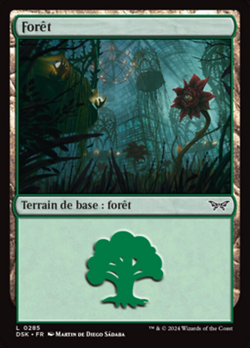 Forêt image