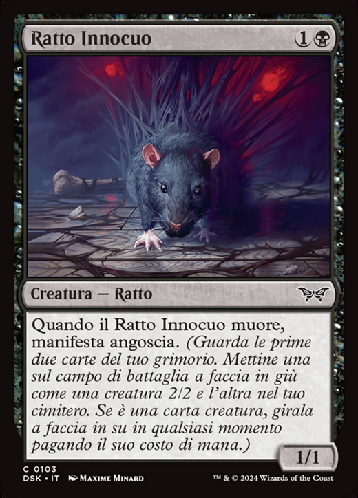 Innocuous Rat Full hd image