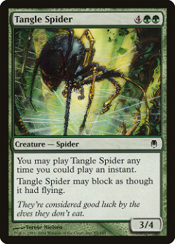Tangle Spider 织网蜘蛛