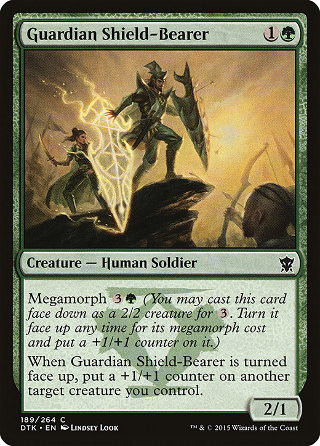 Guardian Shield-Bearer image