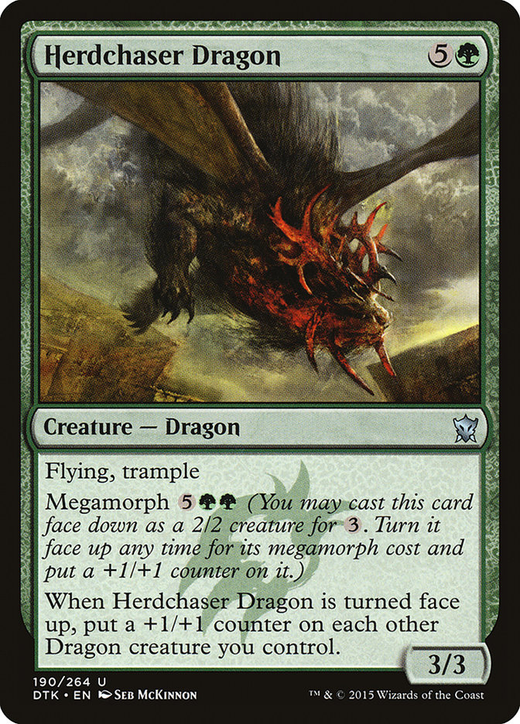 Herdchaser Dragon Full hd image