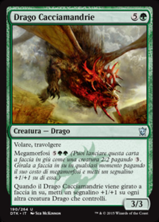 Herdchaser Dragon Full hd image