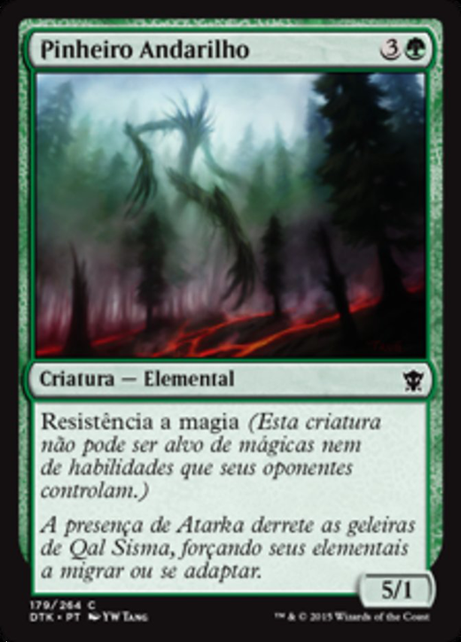 Conifer Strider Full hd image