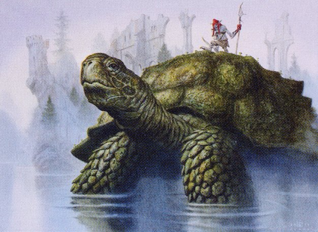 Mistford River Turtle Crop image Wallpaper