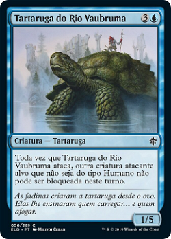 Tartaruga do Rio Vaubruma image