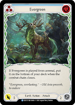 Evergreen (3)