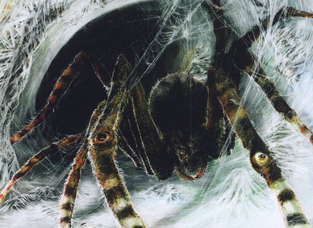 Sentinel Spider Crop image Wallpaper
