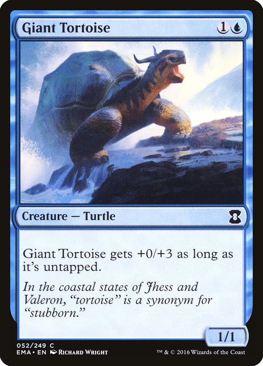 Giant Tortoise Full hd image