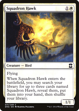 Squadron Hawk image