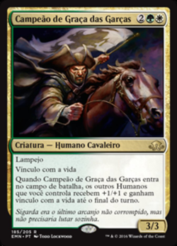 Campeão de Graça das Garças image