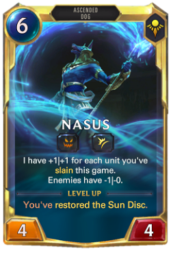 Nasus middle level