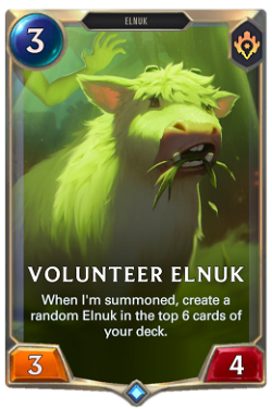 Volunteer Elnuk