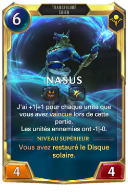 Nasus middle level
