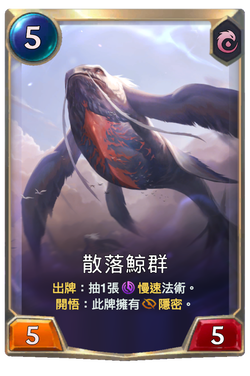 散落鯨群 image